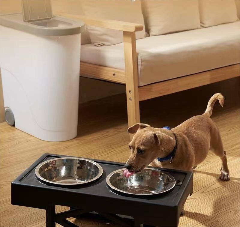 B003 Pet Elevated Bowl