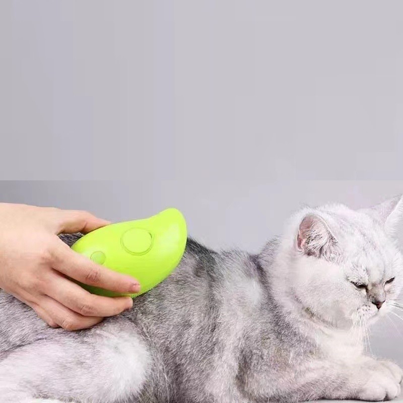 CG001 Cat Massage Brush