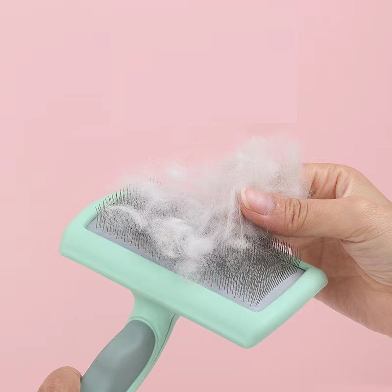 PG004 Pet Brush