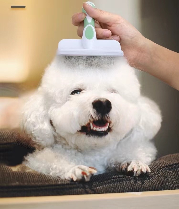 PG009 Pet Brush