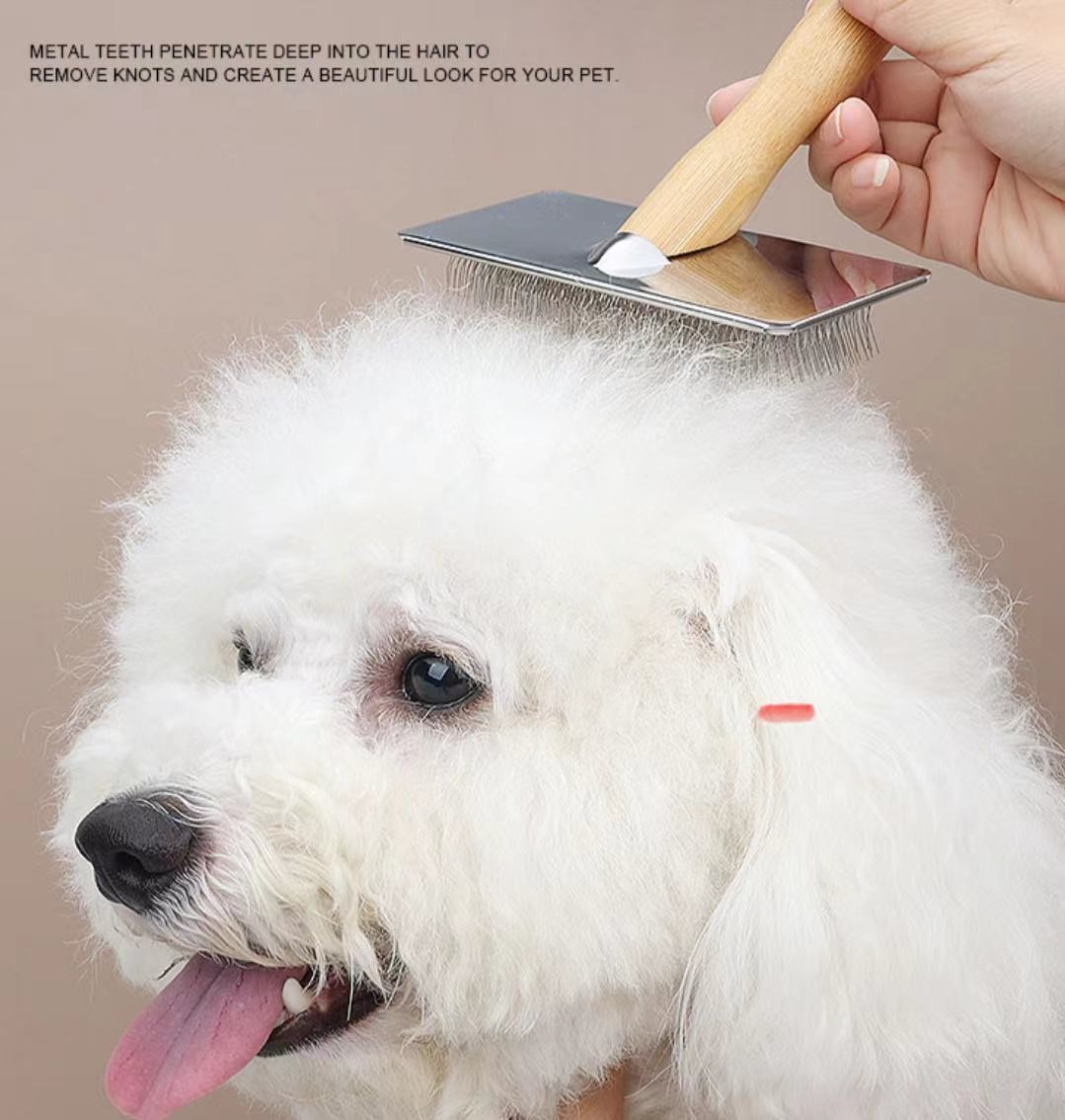 PG025 Pet Brush 