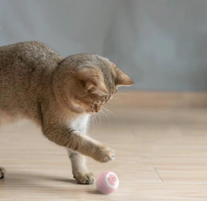 PT001 Cat Playing Ball