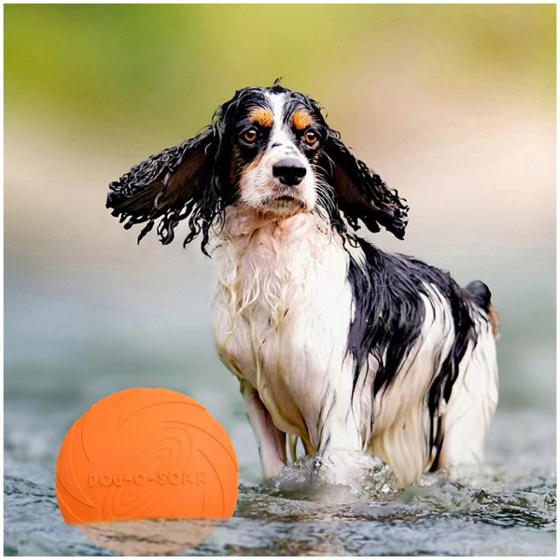 PT002 Dog Flying Disc