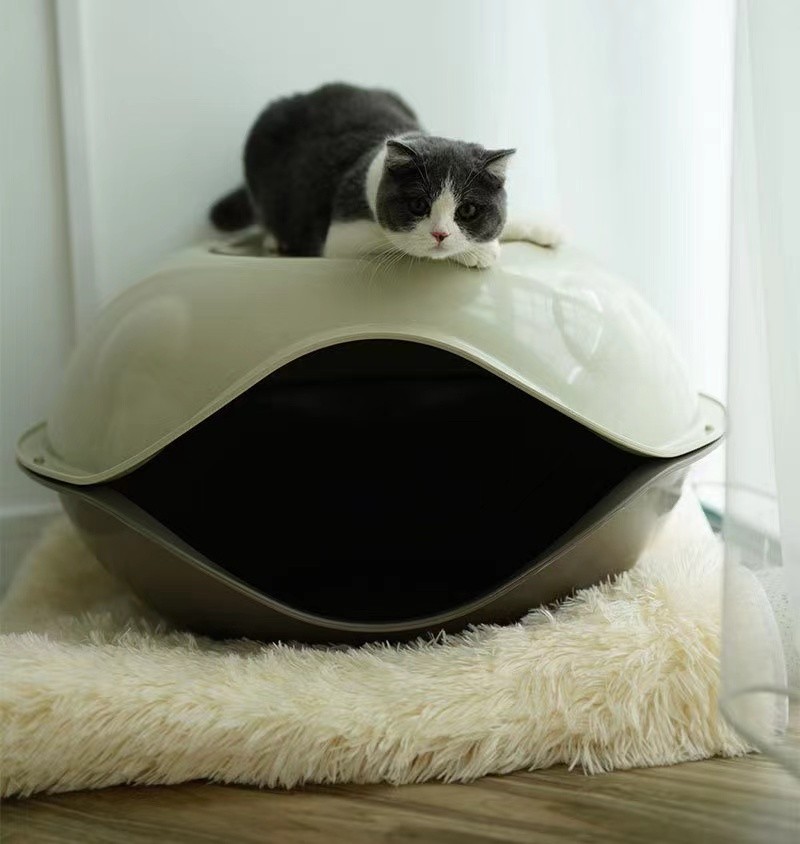 XD01 Plastic Cat Bed 